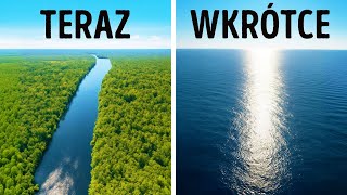 wides.pl K16y2nfcz5g 