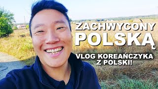 wides.pl K6i_vo57cxY 