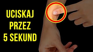 wides.pl Koy6Ec0INT4 