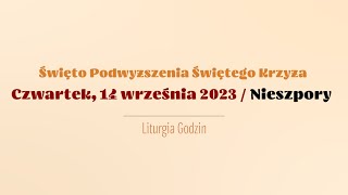 wides.pl Ks_G2CqCtKk 