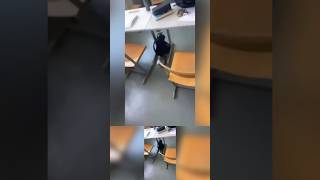 wides.pl Kxnm4rsbCzI 