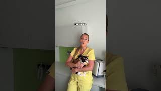wides.pl LLJWOGM8qqc 