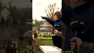 wides.pl LSaewlk7si4 
