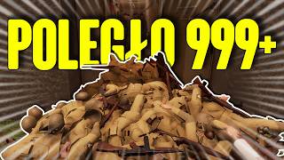 wides.pl Lgi2aVGjisc 
