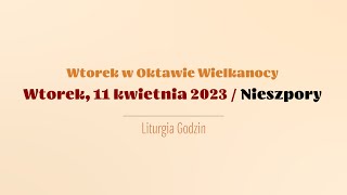 wides.pl MniP0Kf35u0 
