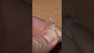 wides.pl MxbCCHWrB0M 