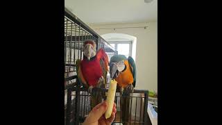 wides.pl N2Yug9tN8IE 