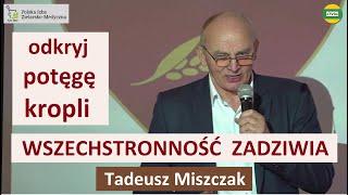 wides.pl NZGZXOEmayU 