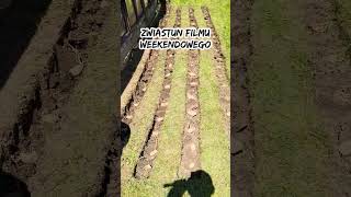wides.pl NcFWANPO6BA 