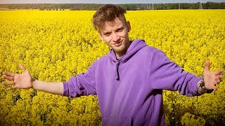 wides.pl Nnn_b0uyMP8 