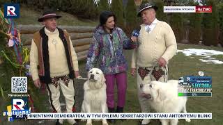 wides.pl Nzi5zs_pN70 