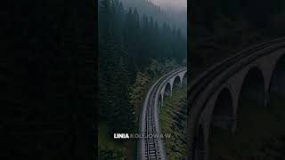 wides.pl O6PPOr3RLyw 
