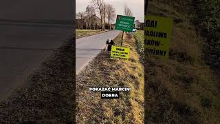 wides.pl OR_C2vrrimY 
