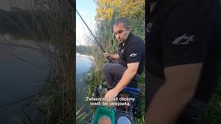 wides.pl OUKTN8T4Cfs 