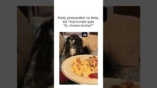 wides.pl OlD2vhxHPo0 