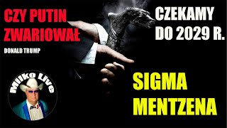 wides.pl OraMj8MSP-Q 