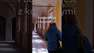 wides.pl PMUglcvyXuQ 
