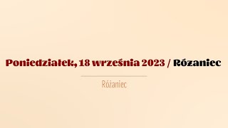wides.pl P_oSL260BB0 