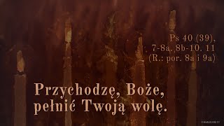 wides.pl PrEsvz05op0 