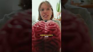 wides.pl PxTdVqmm8ZU 