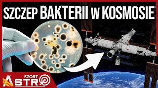 wides.pl QdLfnW7k09Q 