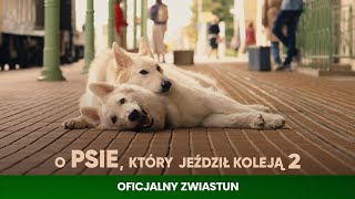 wides.pl R9dKxwKrsCM 