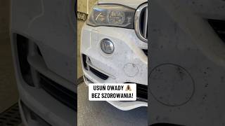 wides.pl Rdv9luOcqPM 