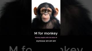 wides.pl Rr4QB4vXx8M 