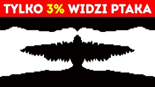 wides.pl S4_lRVfVyaM 
