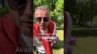 wides.pl SBdiNll9O-4 