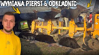 wides.pl SEwe1rfZN7Q 