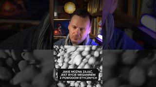 wides.pl SLO4NFWaVlQ 