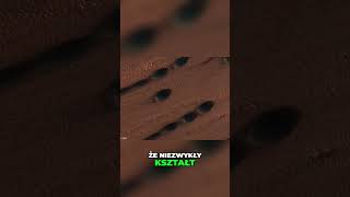 wides.pl SNJyQr42zbg 
