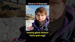 wides.pl Sb59jqVowAI 