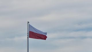 wides.pl Shj1Fb9rf1c 