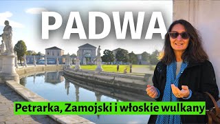 wides.pl Sy1jFIep6SU 