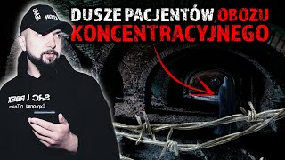 wides.pl SybotIUOLUE 