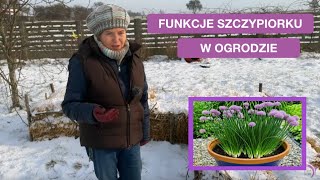 wides.pl T7o9Mw0P7FY 