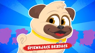 wides.pl TGXXy1NboQM 