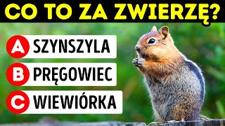 wides.pl TH7Qbe7ysX4 