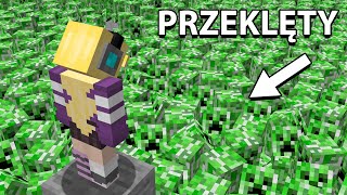 wides.pl TVtvFT77bCA 