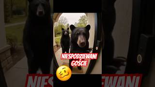 wides.pl TmEmFskAu6g 