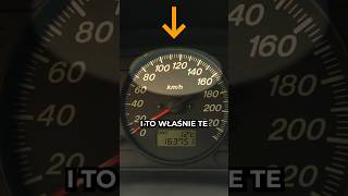 wides.pl TsvstV2Mn84 