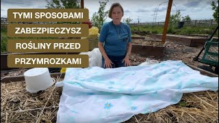 wides.pl Ty9NOxqgj_M 