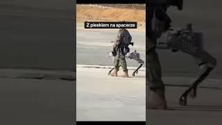 wides.pl VN8cRNbpbM8 