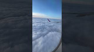 wides.pl Vm_VRgEn-w8 
