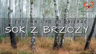 wides.pl VyLBQZK4wKM 