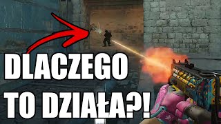 wides.pl W8REyQUFLN0 