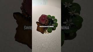 wides.pl WCrheSEJFBk 