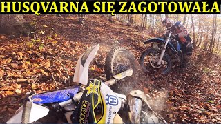 wides.pl WPlocnzOALc 